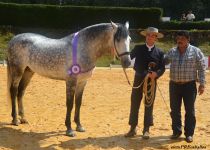 CAMPEON ABSOLUTO DE FUNCIONALIDAD, KARIN, DE Y. LA PERA. RECOGE JOSE MARIA SOLANA, ENTREGA ROBERTO CUERVO